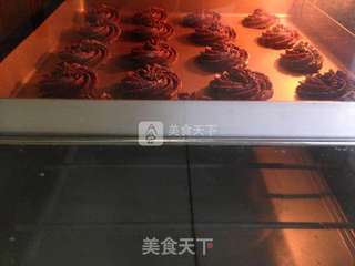 巧克力曲奇——含真正黑巧的醇厚曲奇的做法步骤:17