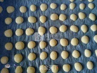 【无油无添加剂入口即化】鸡蛋小饼干的做法步骤:11