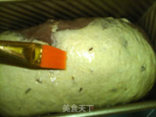 大理石黑麦吐司的做法步骤:22