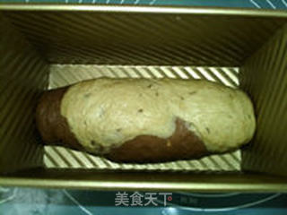 大理石黑麦吐司的做法步骤:18