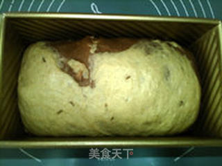 大理石黑麦吐司的做法步骤:21