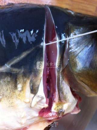 麻辣水煮鱼的做法步骤:2