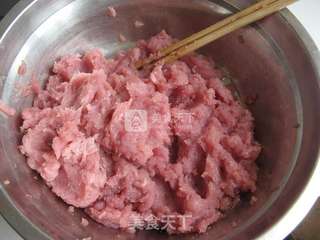 自制肉肠的做法步骤:3