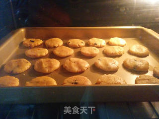 海苔肉松饼干的做法步骤:10