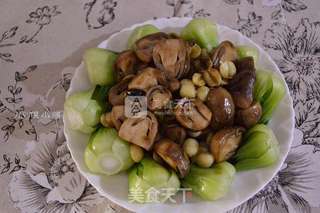 耗油烩鲜莲草菇的做法步骤:14
