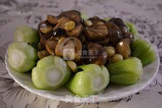 耗油烩鲜莲草菇的做法步骤:15