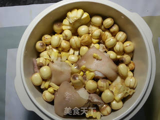 莲子玉米猪蹄汤的做法步骤:6