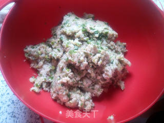 萝卜猪肉水饺的做法步骤:6