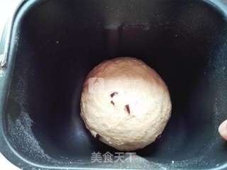 红糖黑麦乳酪面包的做法步骤:4