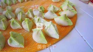 茴香馅翡翠饺子的做法步骤:6