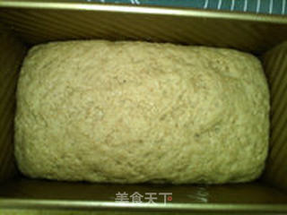 百分百全麦土司的做法步骤:20