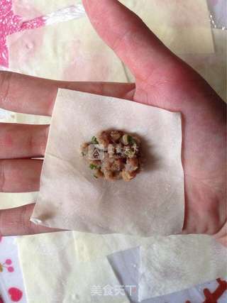 宝宝馄饨的做法步骤:8