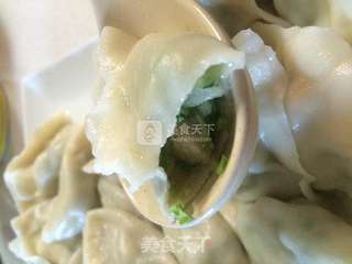 黄瓜虾仁水饺的做法步骤:8