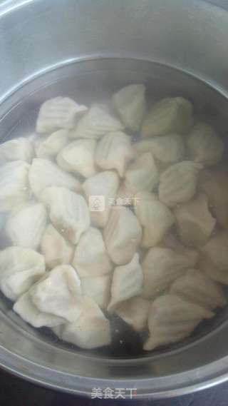 香菇韭苔猪肉水饺的做法步骤：16