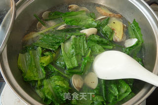 白贝清煮油麦菜的做法步骤:5