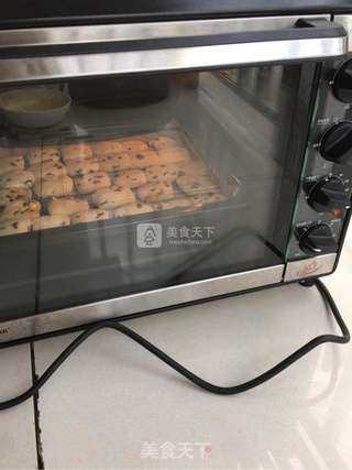 蔓越莓曲奇饼干的做法步骤:9