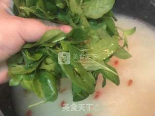 粥底枸杞叶猪肝汤的做法步骤:9