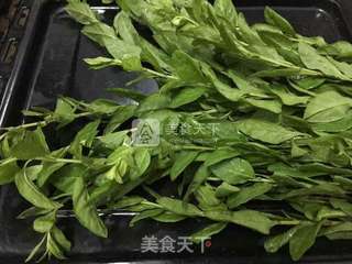 粥底枸杞叶猪肝汤的做法步骤:7
