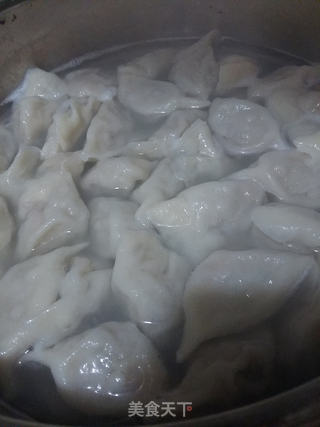 猪肉豇豆馅水饺的做法步骤:13