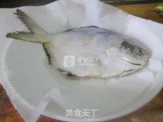 红烧鲳鱼的做法步骤:4