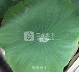 荷叶米粉蒸排骨的做法步骤:8
