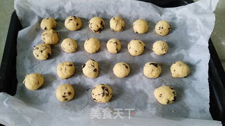蓝莓椰子酥的做法步骤:9
