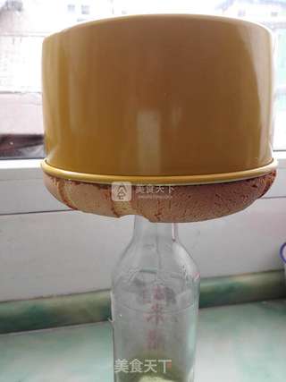 牛奶蔓越莓戚风的做法步骤：10
