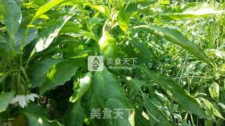 葱爆羊肉的做法步骤:10