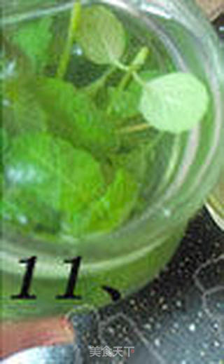 冰爽薄荷蜂蜜茶的做法步骤:4