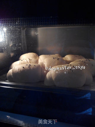 【汤种花生酱面包】第二次用烤箱做的面包的做法步骤：6