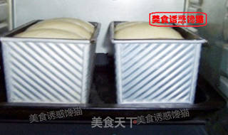 纯蛋奶吐司的做法步骤:8