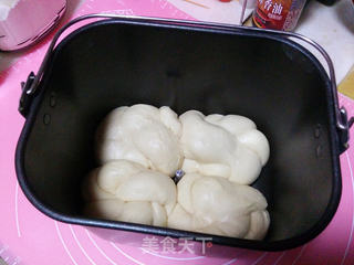 面包机版老式面包的做法步骤：16