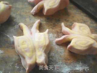蝴蝶馒头的做法步骤:6