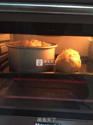 酸奶蜜豆面包的做法步骤：7