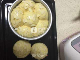 酸奶蜜豆面包的做法步骤：6