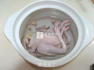 鲜美鸡汤的做法步骤:2