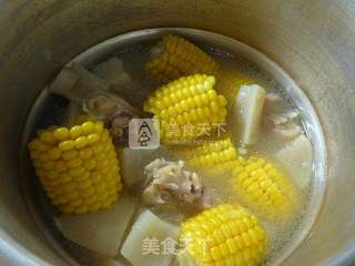 玉米萝卜猪蹄汤的做法步骤：10