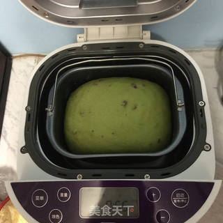 蔓越莓抹茶吐司的做法步骤:9