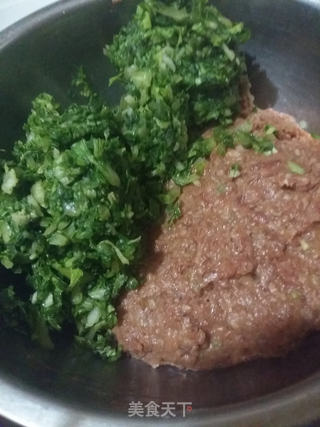 猪肉白菜包的做法步骤:7
