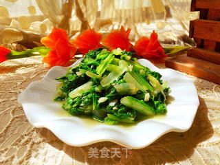 蒜泥小白菜的做法步骤:7