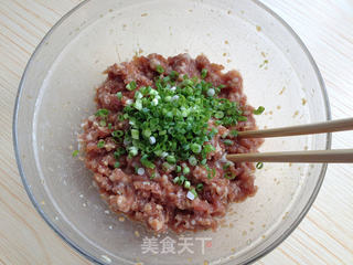 鲜肉月饼的做法步骤:14