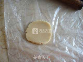 广式百果月饼的做法步骤:12
