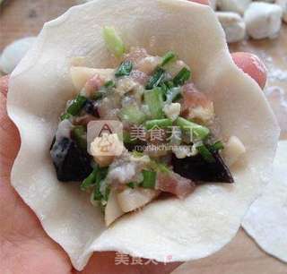 杏鲍菇鲜肉虾仁水饺的做法步骤:10