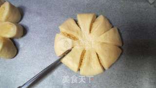 椰蓉面包的做法步骤:8