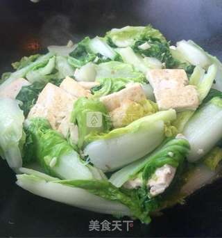 白菜炖豆腐的做法步骤:9