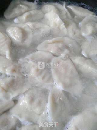 酸菜五花肉水饺的做法步骤:7
