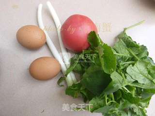 田园蔬菜面的做法步骤:5