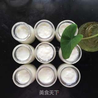 面包机自制酸奶的做法步骤:7