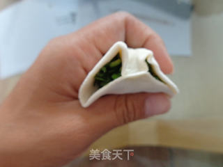 韭菜鸡蛋饺子的做法步骤:13