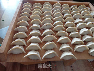 韭菜鸡蛋饺子的做法步骤:15
